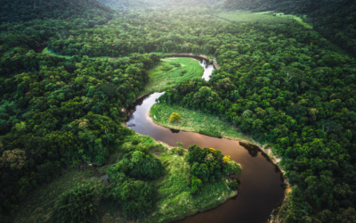 Histórico acuerdo entre países latinoamericanos para la preservación del Amazonas